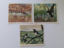 3 Stück Margarine Voss Kunstbilder Rabenkrähe Uferschnepfe Europäische Elster