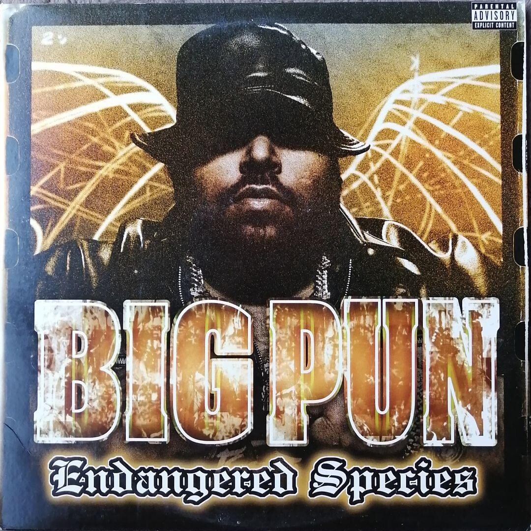 BIG PUN / Endangered Species レコード Big Pun / Endangered Species 12