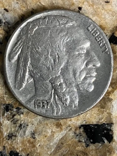 1937 Buffalo Nickel- Actual Coin Pictured