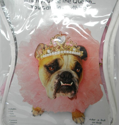 Zelda Wisdom QUEEN Hund Halloween Kostüm klein