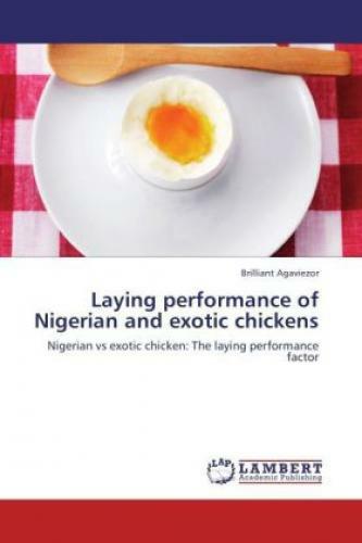 Thumbnail - Laying Performance Of Nigerian And Exotic Chickens Nigerian Vs Exotic