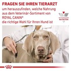 Bild 10 von 10