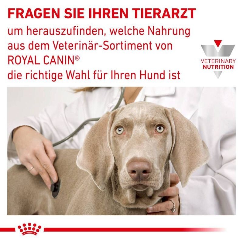 Bild 10 von 10
