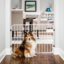 Carlson Pet Products Tuffy Metal Expandable Pet Gate
