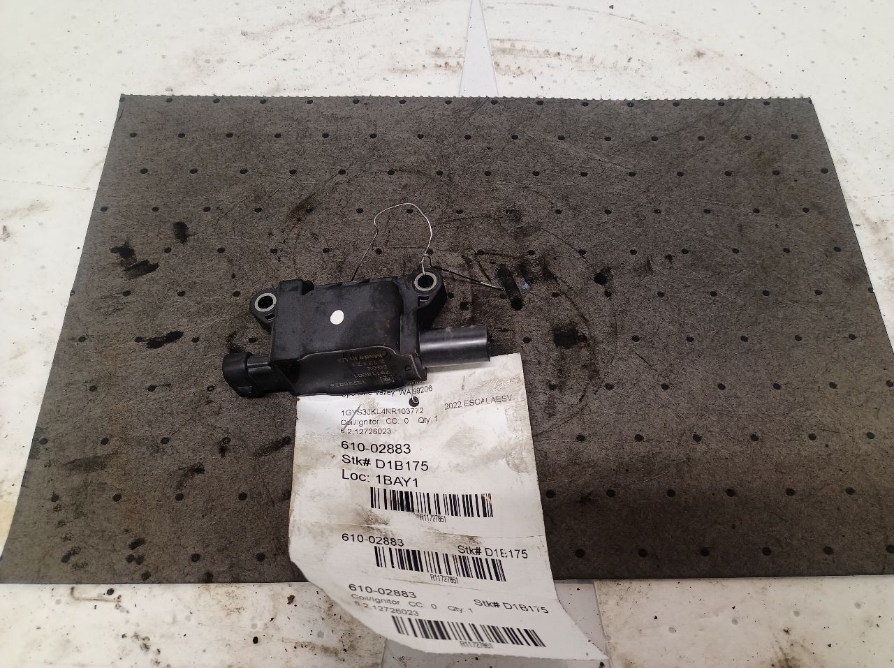 12726023 Coil/Ignitor Delphi from 2022 Cadillac Escalade ESV 11727851