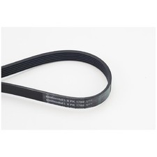 Keilrippenriemen für Ford Ranger TKE Transit FD | 24054002