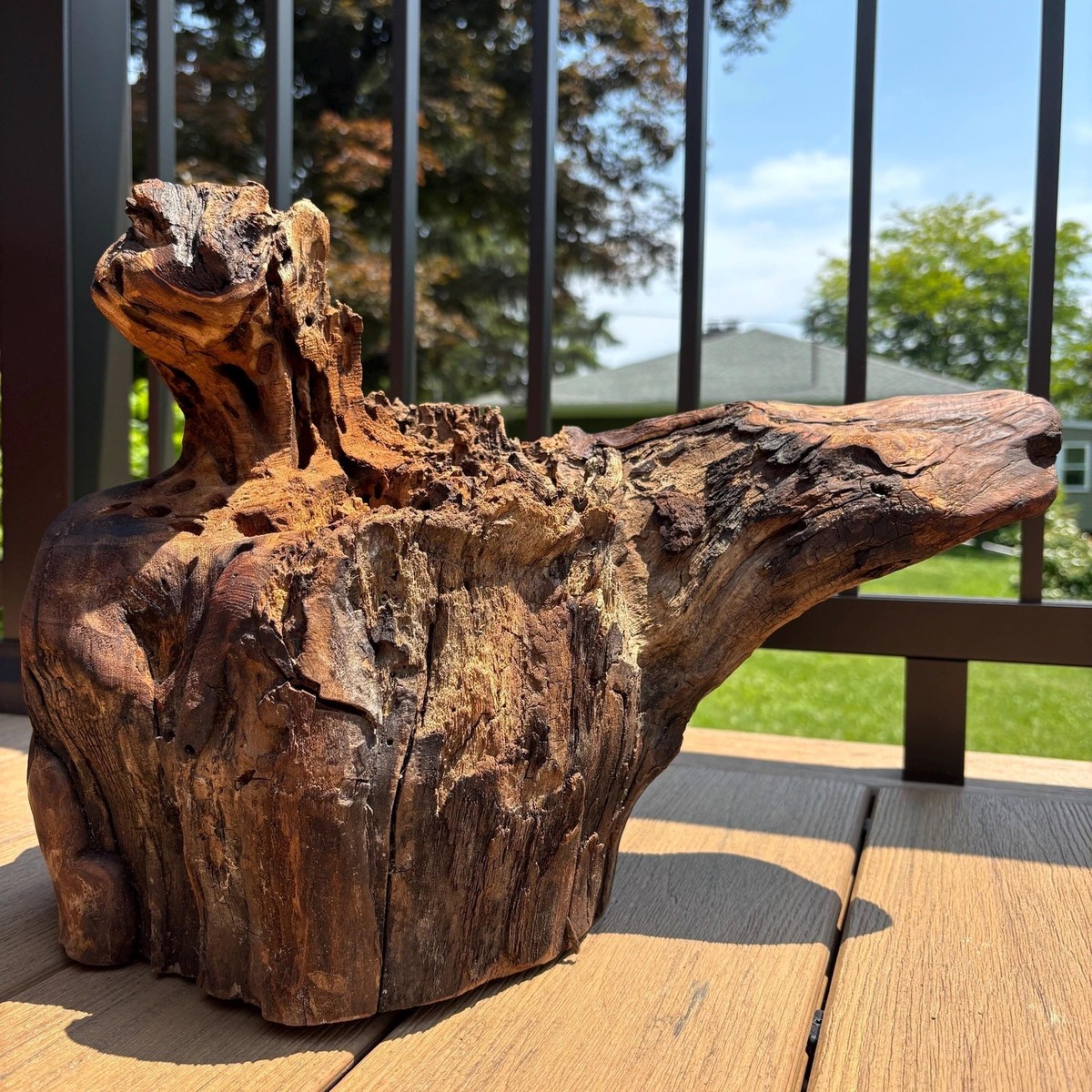 Large Driftwood Stump 17x12x13 – Oiled Statement Piece for