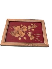 Vintage Pressed Flower Art on Red Velvet Botanical Decor in Ornate Gilded Frame