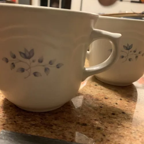 Set of 2 Pfaltzgraff Heirloom Tea Coffee Mugs MINT MULTIPLE Sets Available