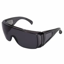 Birdz Visitor Safety Glasses Fit Over Rx Smoke Lens