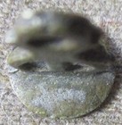 ANTIQUE ISLAMIC MIDDLE EASTERN  BRASS WAX SEAL PERSIAN CALLIGRAPHY 1 OF 2 — photo 7