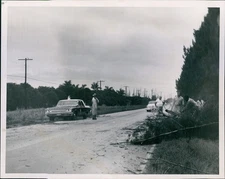 1964 Emergency Road Crew Clears Trees Australian Traffic Blocked 8X10 Photo
