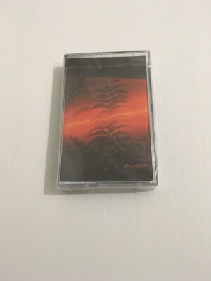 Modeling: Somewhere Before: Limited Edition SWBF Cassette Tape.