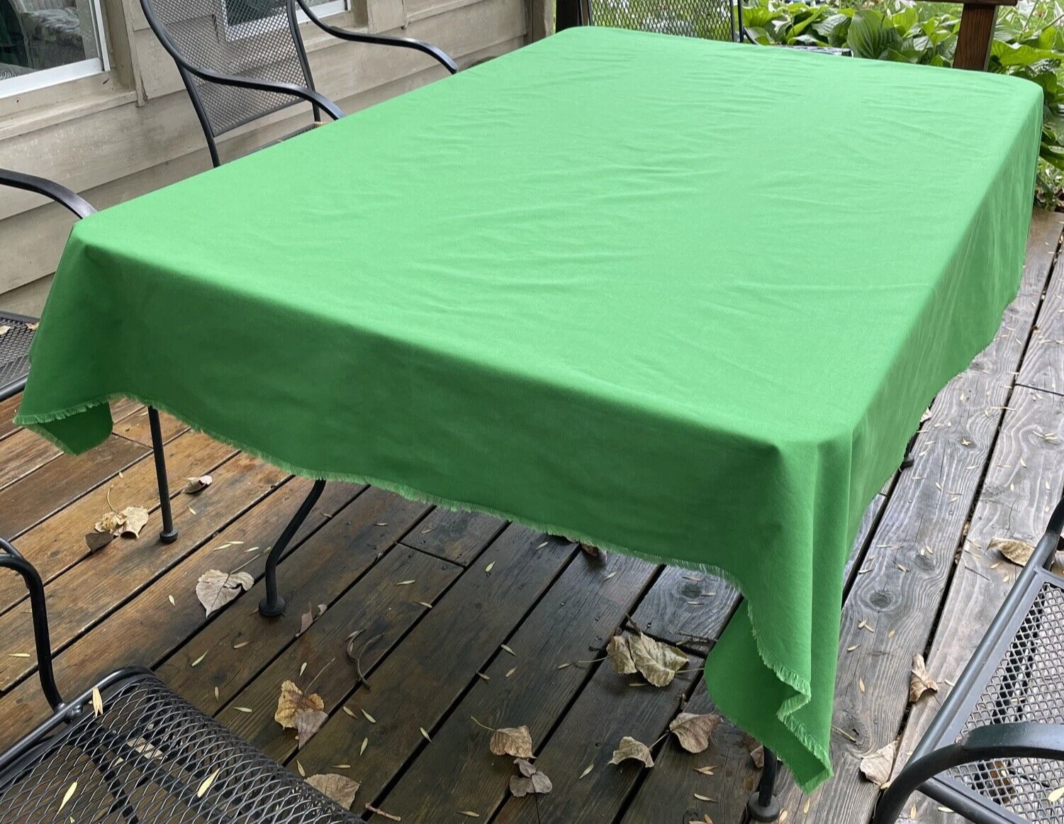 Picture 6 of 6