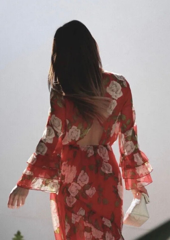 Zara Ruffled Floral Print Midi Dress BNWT Size S Bloggers Favorite eBay