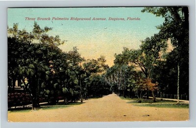 Daytona FL, Three Branch Palmetto Ridgewood, Florida c1913 Vintage Postcard