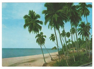 Batu Ferringhi Coastline Penang Malaysia Palms Postcard