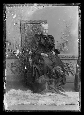 Photo:Unidentified Elderly Woman Seated with Dog Cabinet Photograph