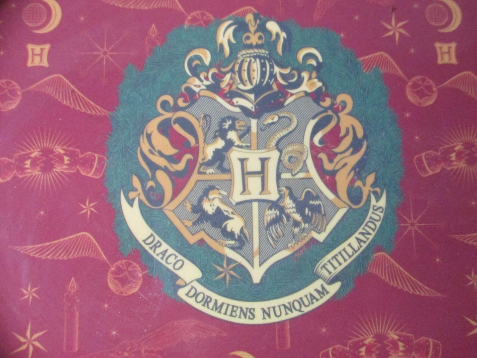 Plato de cena Harry Potter Mundo Mágico melamina #HP520C1 24,5 cm diámetro GC Foto 2 de 4