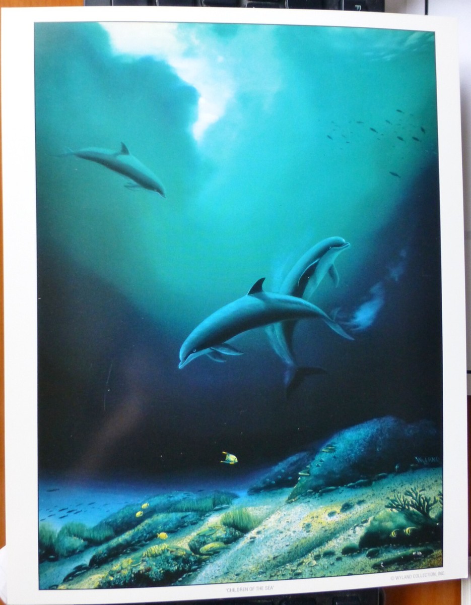 ワイランド/Robert Wyland チルドレンオブザシー 46/250 Children Of The Sea – Wyland Worldwide