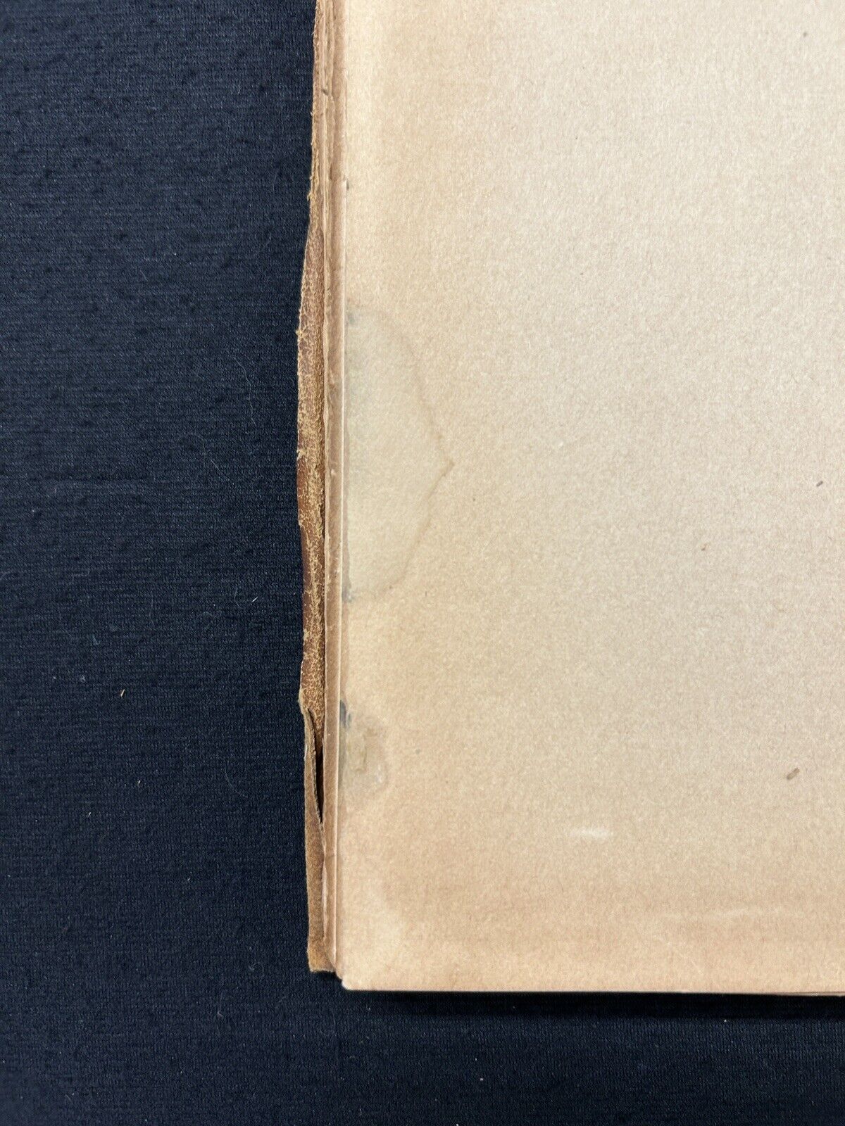 Foto 9 di 10