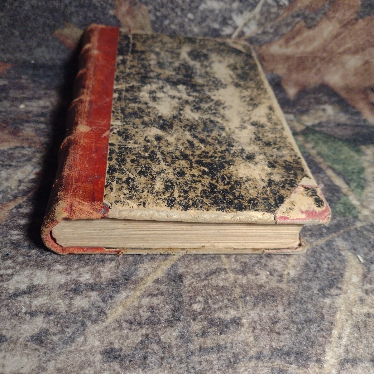 Picture 7 of 16