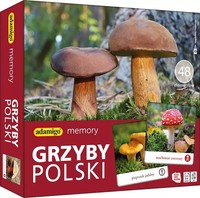 Memory Grzyby Polski Gra PamięCiowa Adamigo Adamigo