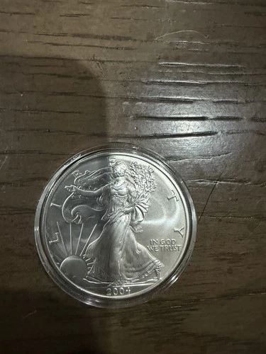 2004 Silver American Eagle $1 - BU - Brilliant Uncirculated - In Capsule