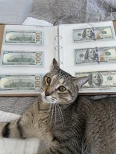 Star Notes Collection – 129 Rare Replacement Banknotes ($1 to $100)