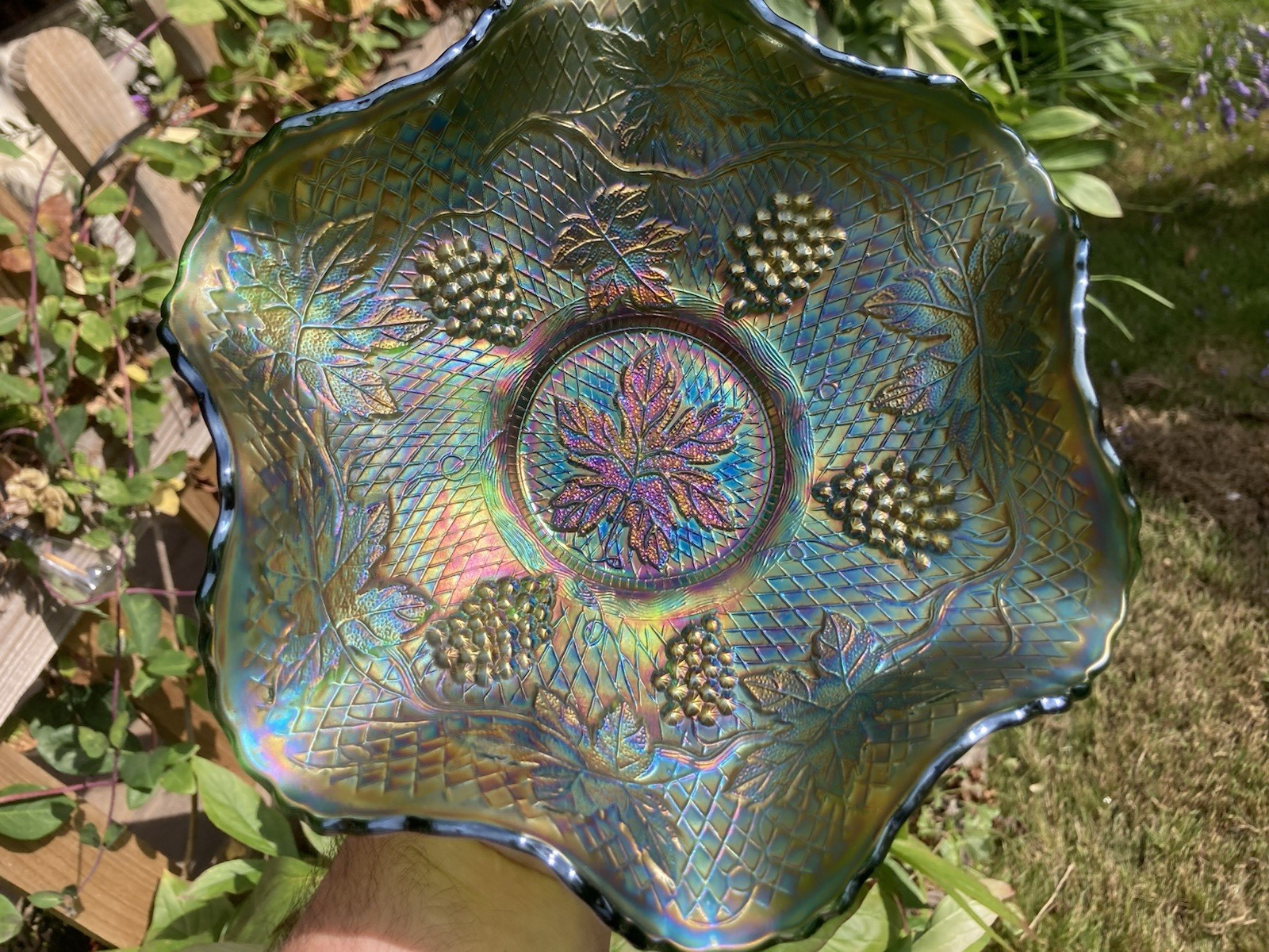 Picture 7 of 16