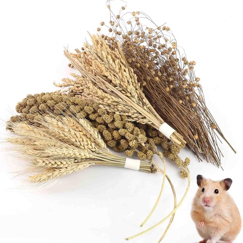 Juego de spray natural para hámster con bocadillos, juguetes para masticar, ropa de cama para mascotas pequeñas - Imagen 1 de 7