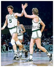 NBA Boston Celtics Bill Walton  Larry Bird Color 8 X 10 Photo Picture