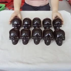 11.4LB 10 Natural Black Obsidian Quartz Crystal Skull Head Carving Healing 10cm