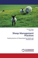 Ravindra Reddy (U. A.) | Sheep Management Practices | Taschenbuch | Englisch