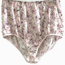 Vtg Vanity Fair Panties Pink Purple Floral 100 Nylon Size 8 / 46 Cotton Gusset