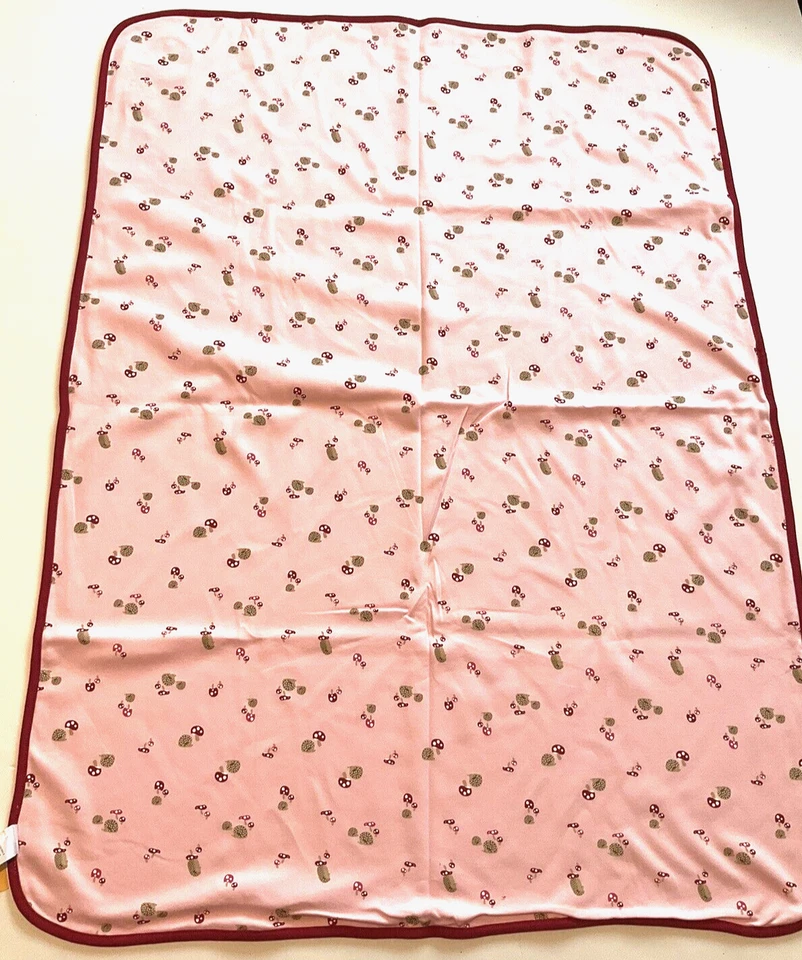 Difícil de Encontrar De Colección Nueva Con Etiquetas Gymboree 2006 EXTERIOR CAPRICHO Vacaciones Erizo Seta Manta Foto 4 de 4