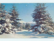 Pre-1980 NATURE SCENE Norway - Near Bethel & Lewiston Maine ME f/01 AD5588