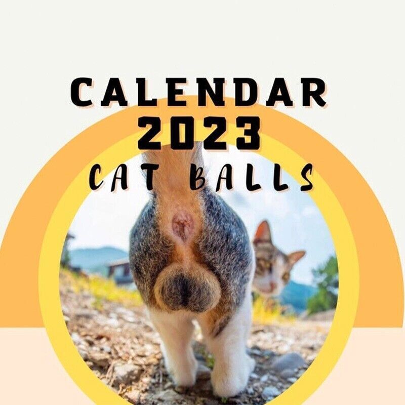 Tony Teddy Large 2023 Cat Calendar