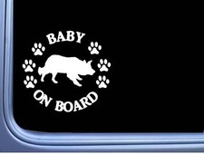 Baby On Board Border Collie L481 6 Sticker Decal Baby On Board Border Collie L481 6 Sticker Decal