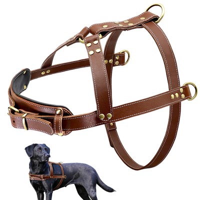 Tibetan Mastiff Mastiff Harnesses And Collars Bullmastiff Big