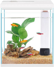 Betta Fish Tank, 2 Gallon Glass Aquarium Starter Kit, Small Fish Tank with Filte