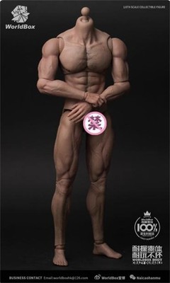 Worldbox AT027 1/6 Durable Body-ripped Body Male Figure fit Hot Toys Phicen Head