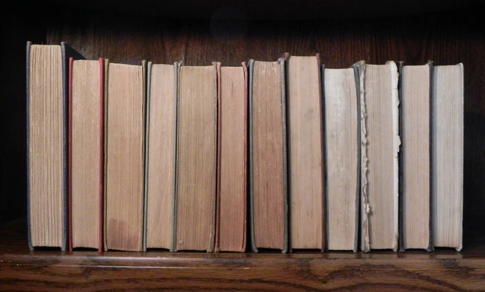 Стюарт Эдвард белая книга лот из 12 - в основном первое издание - антикварный роман комплект - Изображение 3 из 4