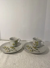 2 Yorktown The Toscany Collection Fine China Saucer & Tea Cup Sets Yellow Floral