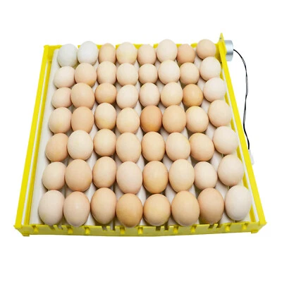 MARKENLOS Egg Incubator Tray Automatischer Eierwender für Ente Pigeon Wachteln 9