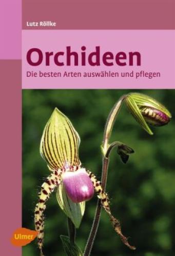 Thumbnail - Orchideen Die Besten Arten Auswählen Und Pflegen 9611