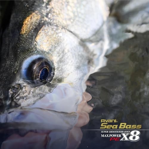 VARIVAS Avani Sea Bass Max Power PE x8 (Status Gold 150m 16.7 lb (#0.8))NEW - Picture 6 of 6