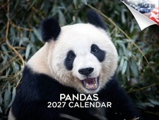Pandas Calendar 2026 12x18 Made in USA