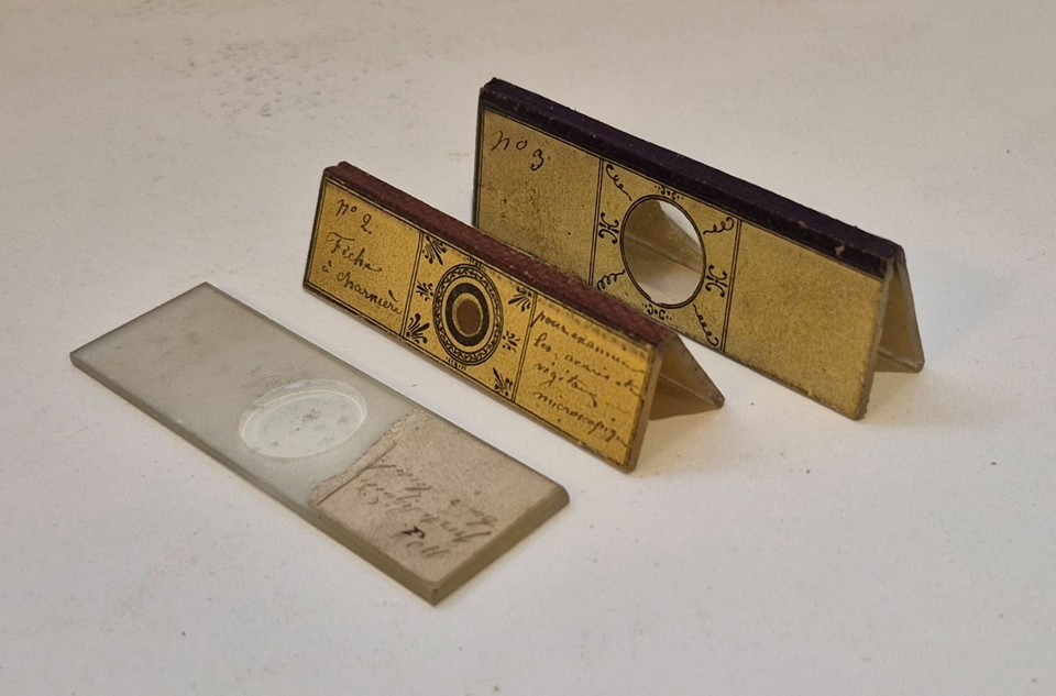 Three c.1860 microscopy liquid-holders and two rare folding liveboxes — exquisite Victorian scientific tools that are as sculptural as they are historically fascinating.