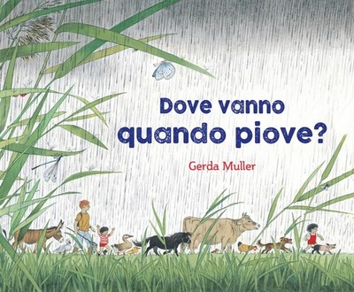 Michela Lou Pampaloni Gerda Muller Gis Dove vanno quando piove? Ediz (Hardback)